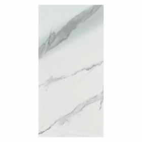 Artic Carrara 24x48
